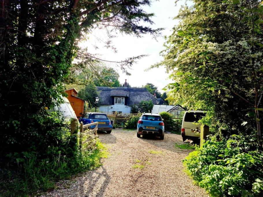 Piddle Puddle Cabin Dorchester Exterior photo