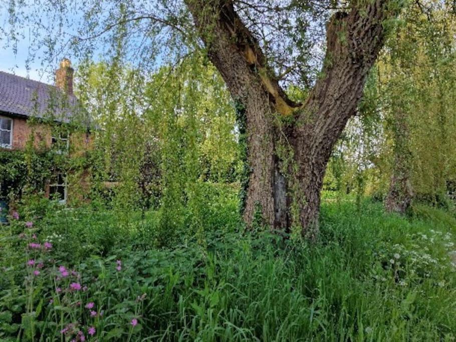 Piddle Puddle Cabin Dorchester Exterior photo
